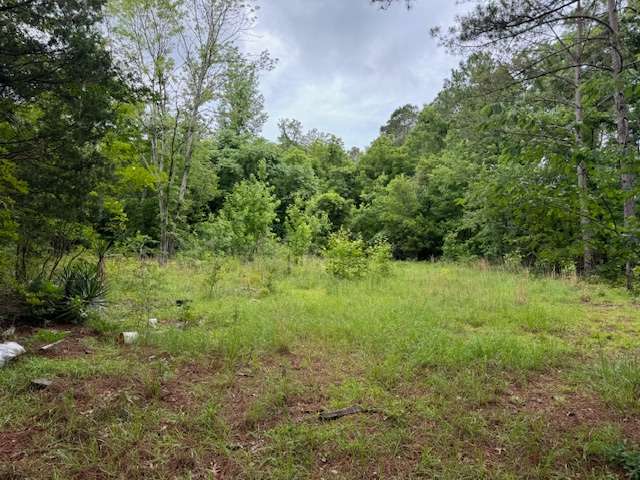 1129 Hezekiah Rd-1
