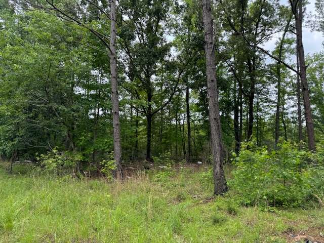 1129 Hezekiah Rd-3