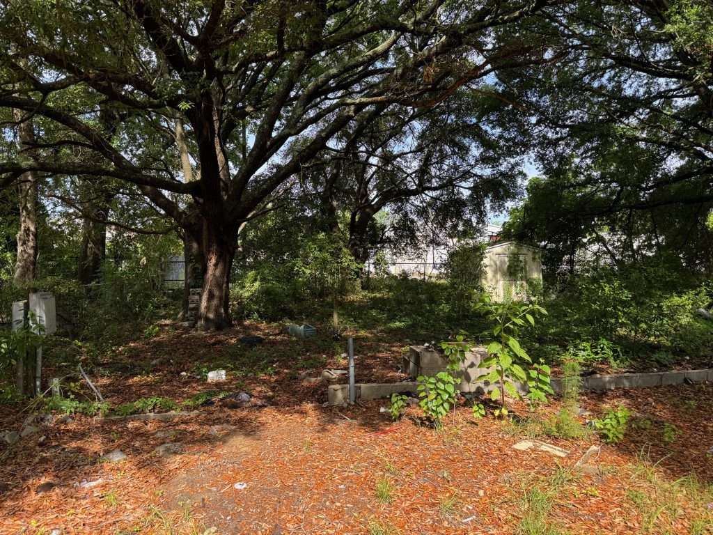141 Fagan St-2