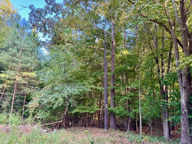 704 Forest Hill Dr-7