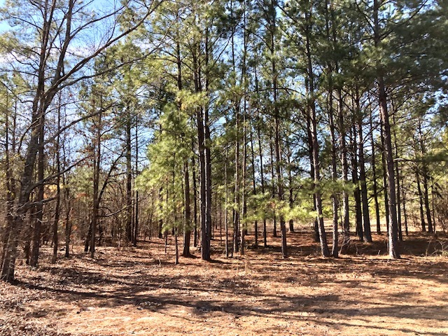 Camp Church Rd - 3