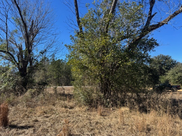 3101 Ninety Six Rd-3