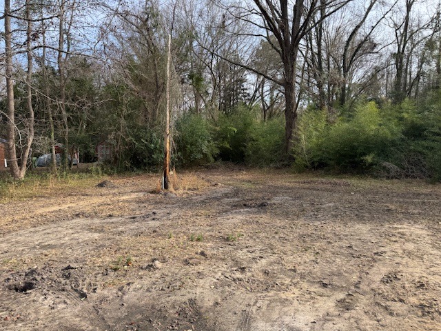 R of 524 1st Ave - 1