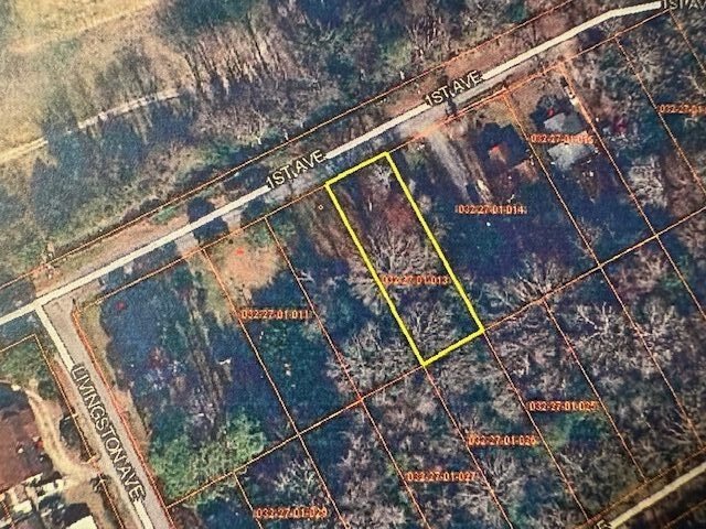 R of 524 1st Ave - 4