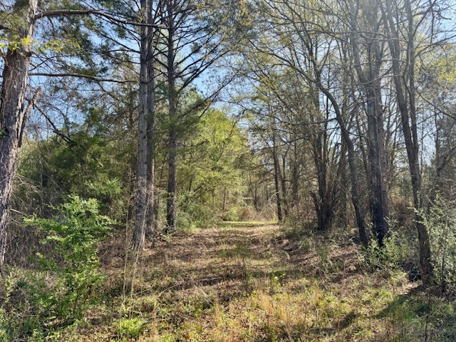 1636 Old Spartanburg Hwy-2