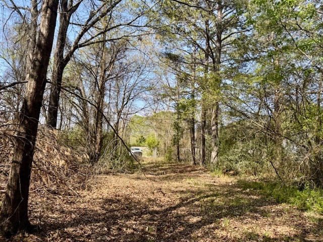 1636 Old Spartanburg Hwy-3