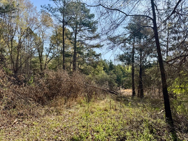 1636 Old Spartanburg Hwy-4