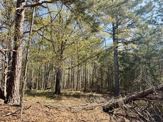 1636 Old Spartanburg Hwy-5