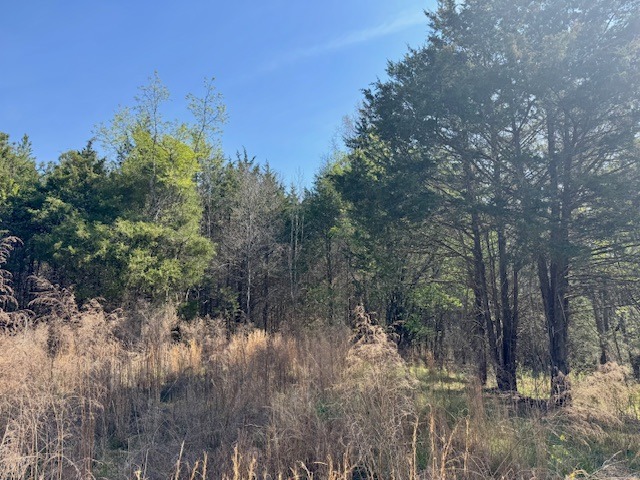 1636 Old Spartanburg Hwy-6