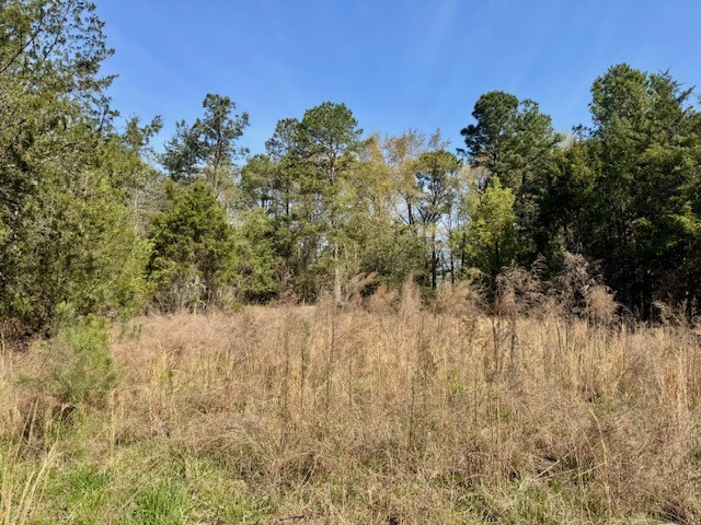 1636 Old Spartanburg Hwy-7