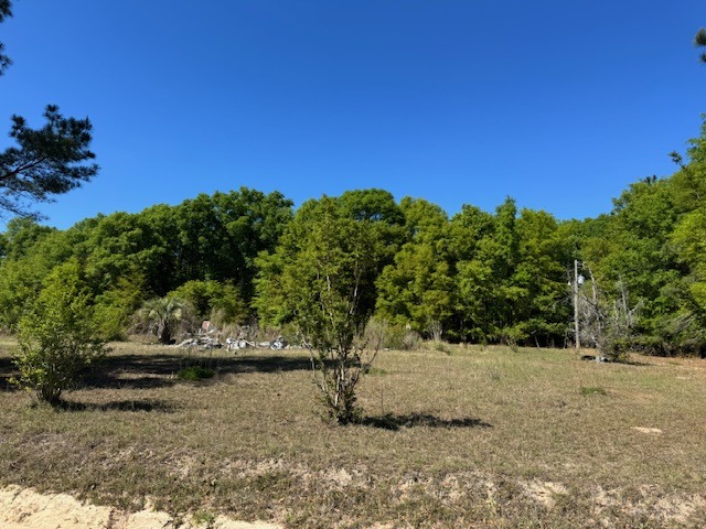 Cocoa Rd (Left of 500)-1