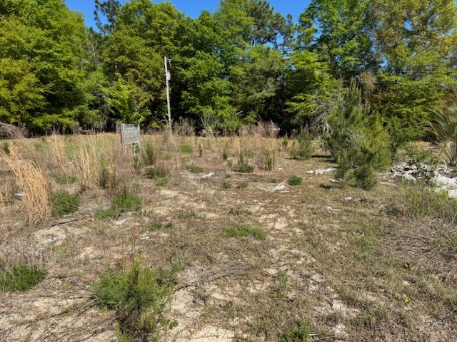 Cocoa Rd (Left of 500)-2