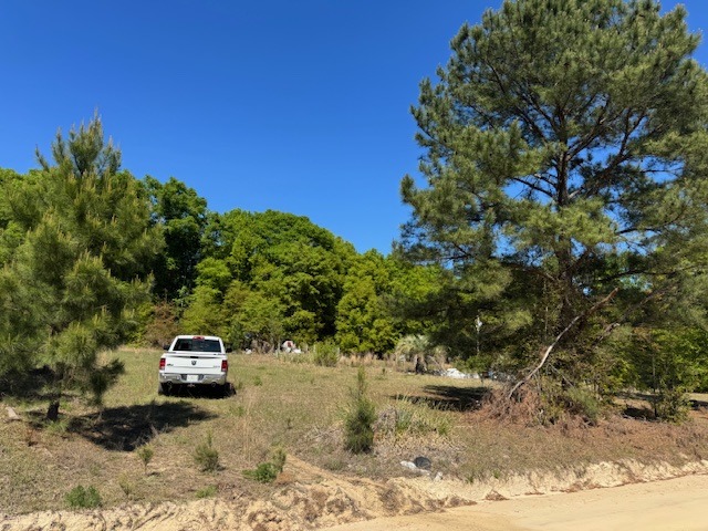 Cocoa Rd (Left of 500)-3