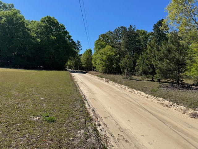 Cocoa Rd (Left of 500)-5