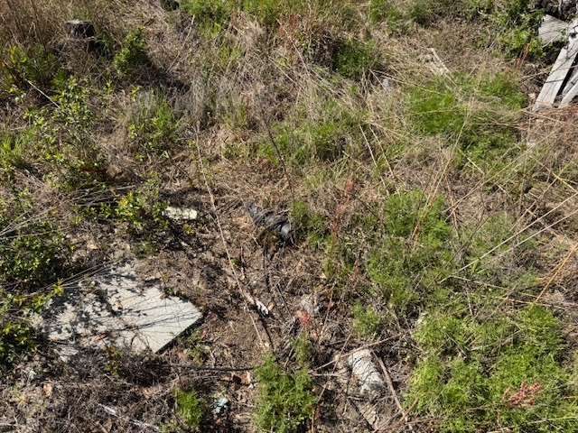 Cocoa Rd (Left of 500)-6