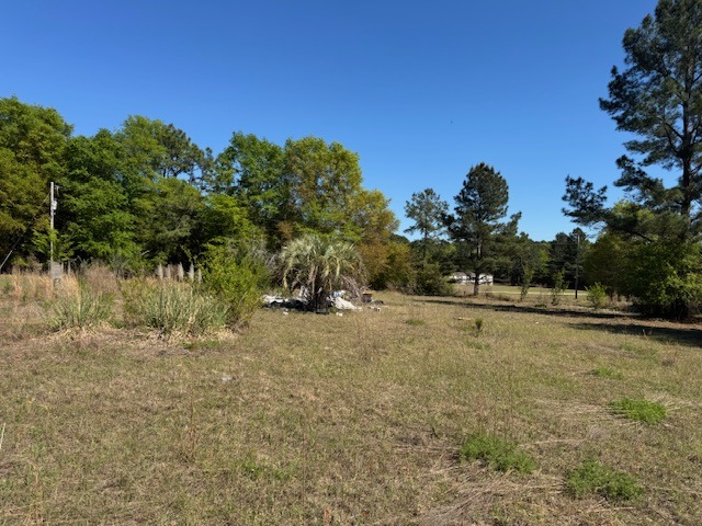 Cocoa Rd (Left of 500)-7