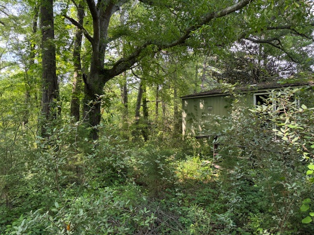 113 Miller St-1