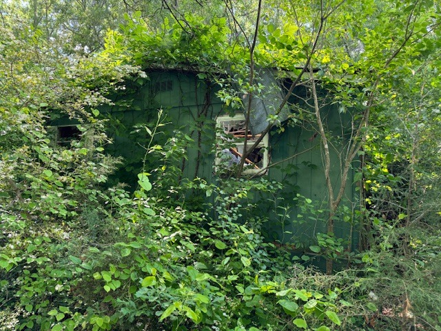 113 Miller St-2