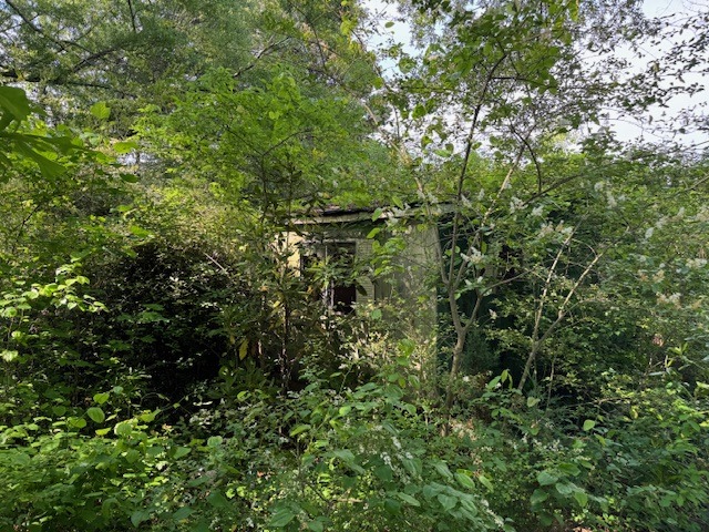 113 Miller St-3