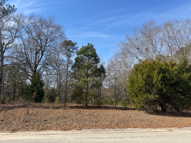 169 Countrylane Dr-1