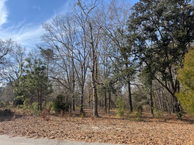 169 Countrylane Dr-2