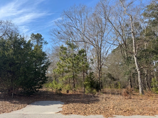 169 Countrylane Dr-3