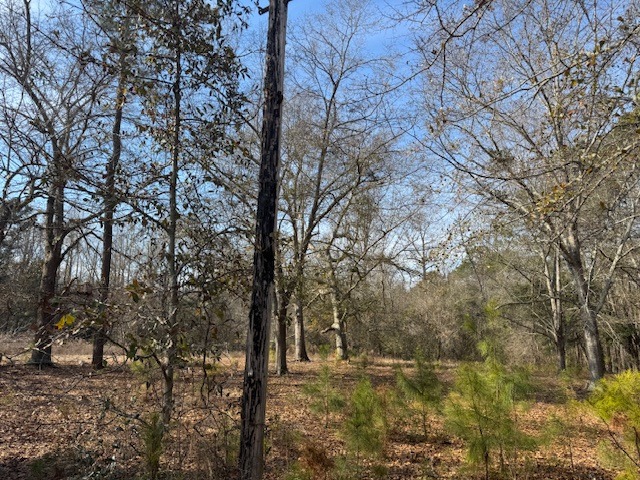 169 Countrylane Dr-4
