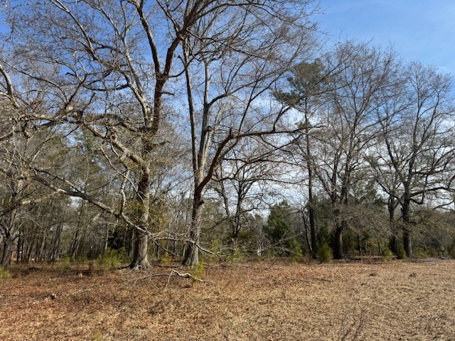 169 Countrylane Dr-6