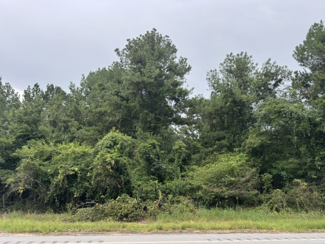 10601 US Hwy 521-1