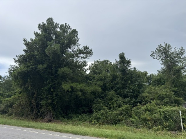 10601 US Hwy 521-2