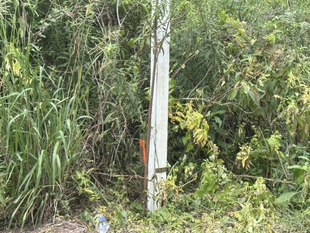 10601 US Hwy 521-3
