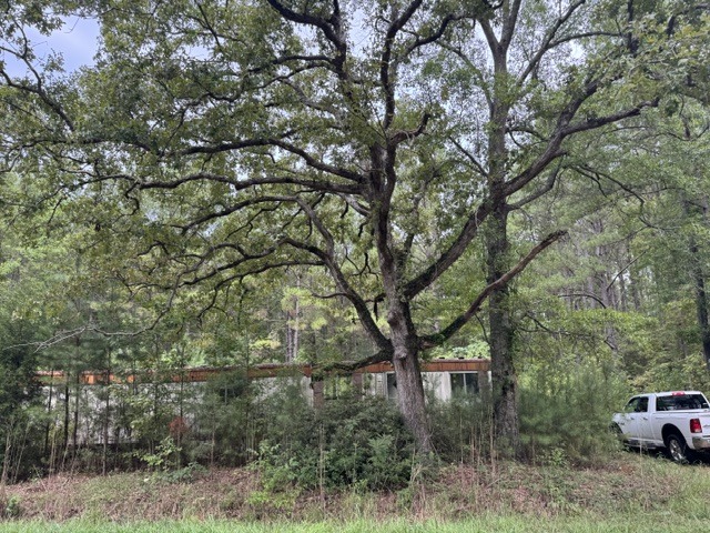 383 Jane Harvin Rd-1