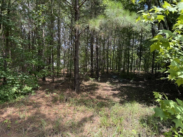 Smeltzer Rd-2