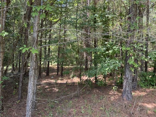 Smeltzer Rd-3