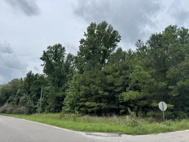 Smeltzer Rd-5