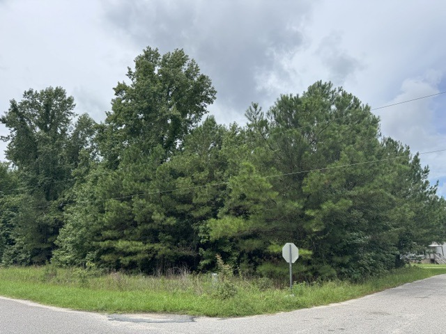 Smeltzer Rd-6