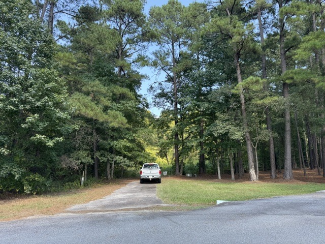 133 Canebrake Ct-1