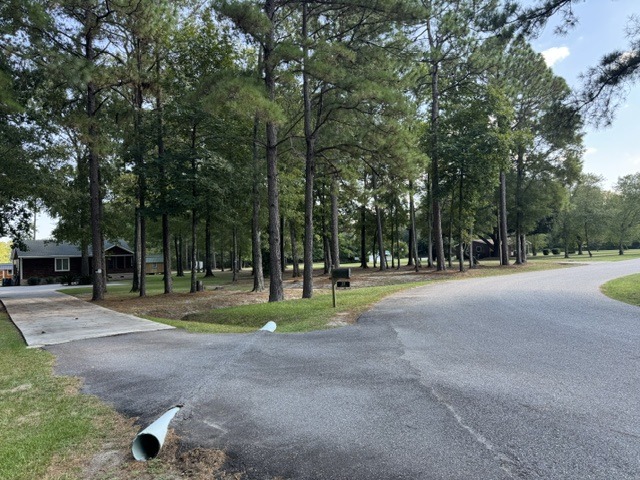 133 Canebrake Ct-10