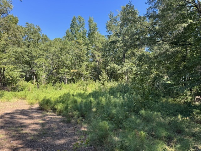 133 Canebrake Ct-3