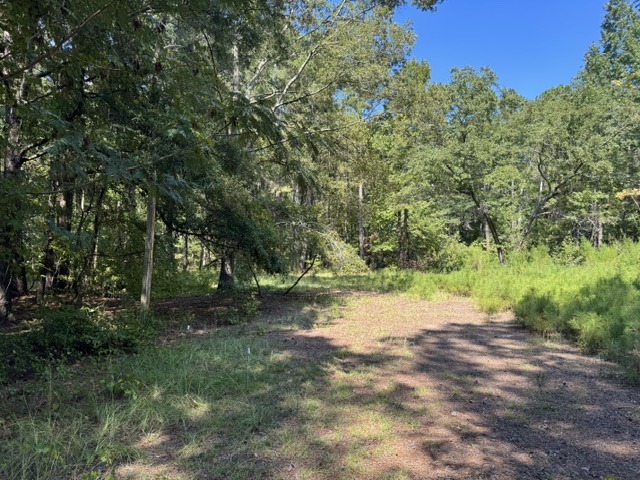 133 Canebrake Ct-4