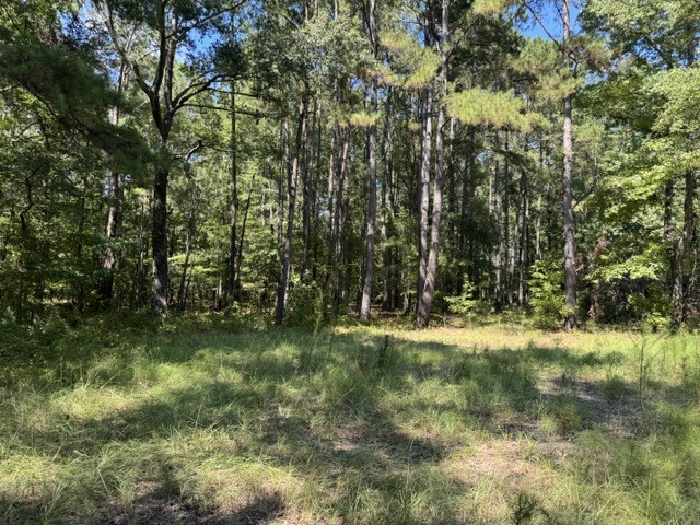 133 Canebrake Ct-5