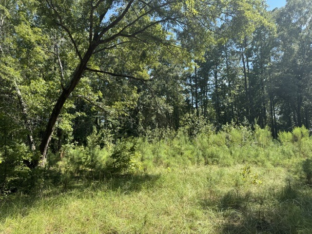 133 Canebrake Ct-7