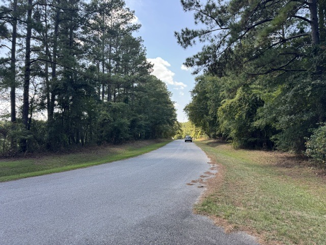 133 Canebrake Ct-8