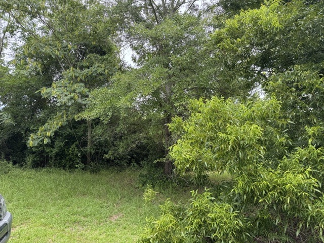 1430 Sunshine Rd-2