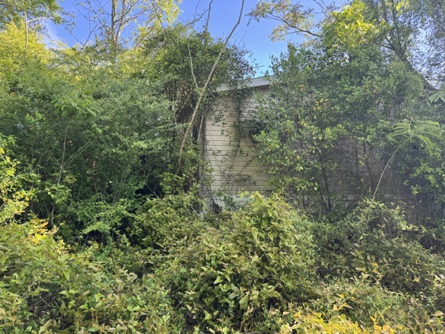 1430 Sunshine Rd-3