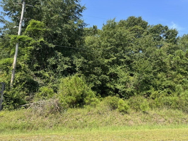 231 Stewart Dr-1
