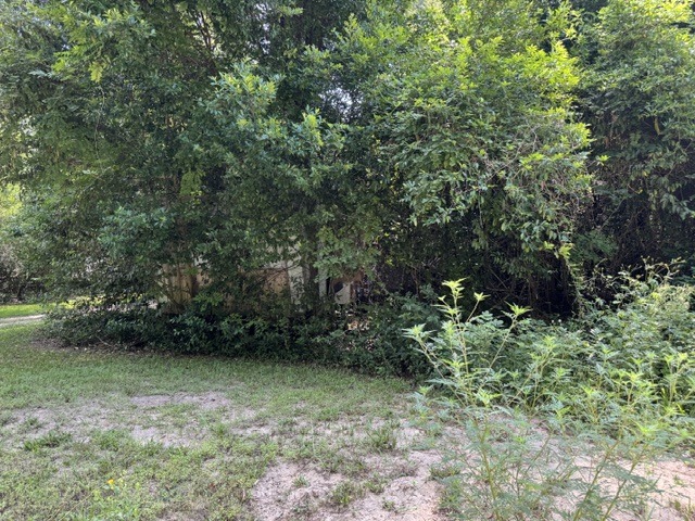 240 Jeffcoat Bridge Rd-3