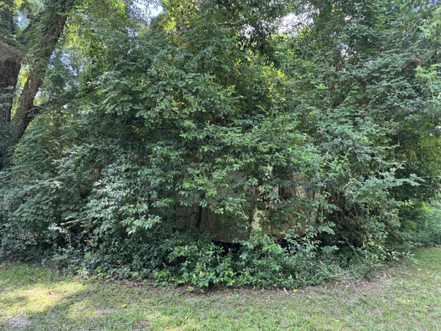 240 Jeffcoat Bridge Rd-5