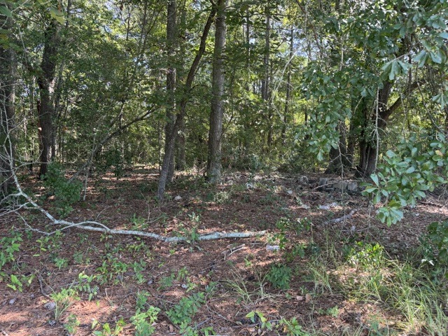 2904 Dragstrip Rd-3