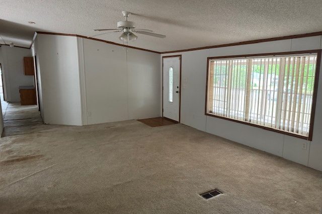 228 Vernon Dr-4